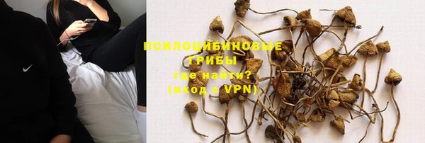 твердый Алексин